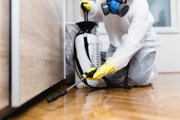 Best Pest Prevention Services  in Thomaston, NY
