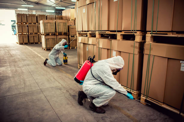 Best Pest Removal Services  in Thomaston, NY