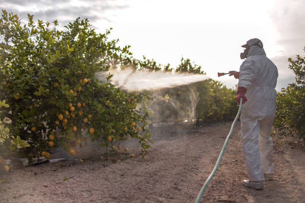 Best Insect Control  in Thomaston, NY