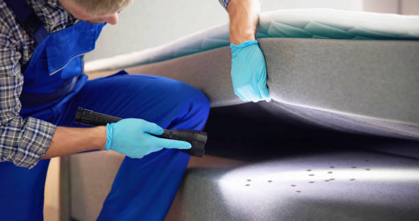 Reliable Thomaston, NY Pest Control Solutions