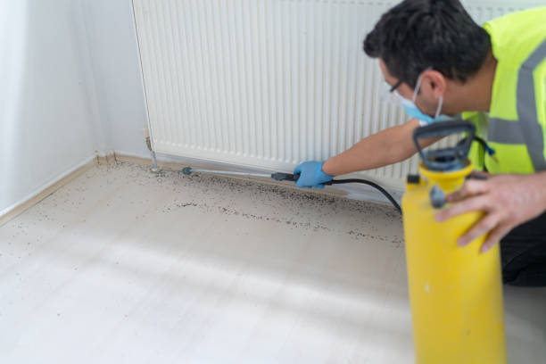 Pest Prevention Services in Thomaston, NY