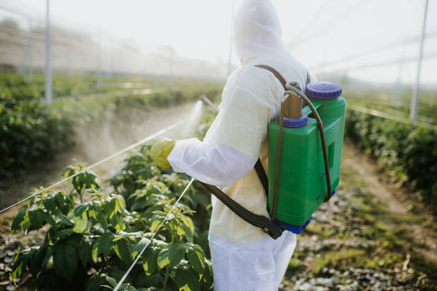 Insect Control in Thomaston, NY
